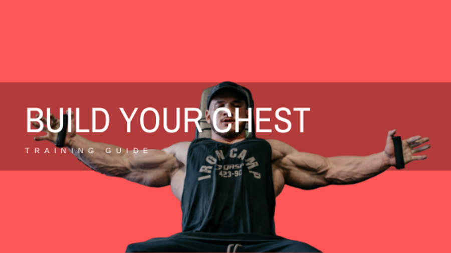 Bodybuilding Workout Guide For Chest