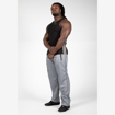 Gorilla Wear Mercury Mesh Pants | Gray