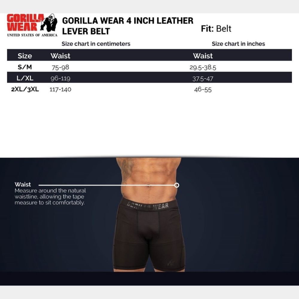 Picture of Gorilla Wear Leather Lever Powerlifting Belt | Brown