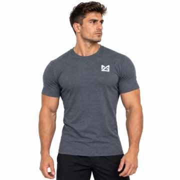Picture of Might&Glory Iron Master Gym T-Shirt | Grey | Athletic Fit