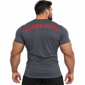 Picture of Might&Glory Heavy Duty Gym T-Shirt | Grey | Athletic Fit