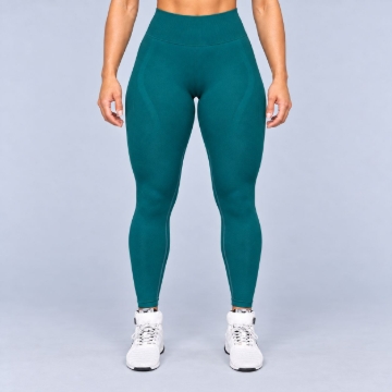Picture of Gorilla Wear Yava Seamless Gym Leggings | Green | High Waist Support