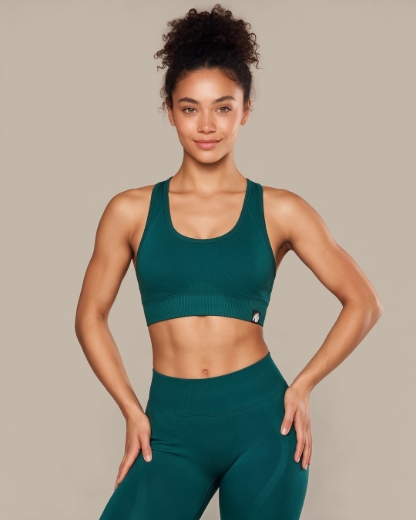 Gorilla Wear Yava Seamless Sports Bra - front